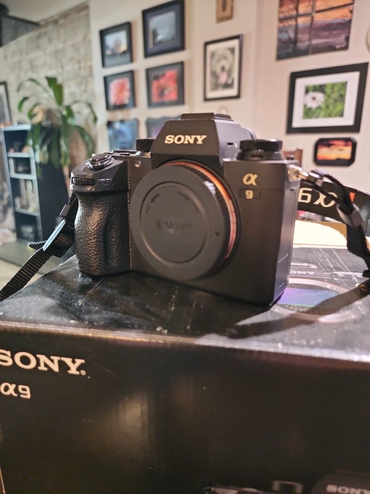Sony A9