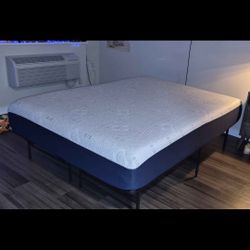 Bed - 6 Month Use- Perfect Condition