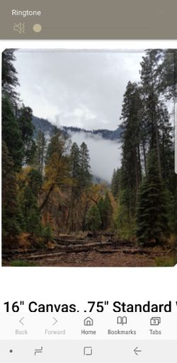 Yosemite pictures!