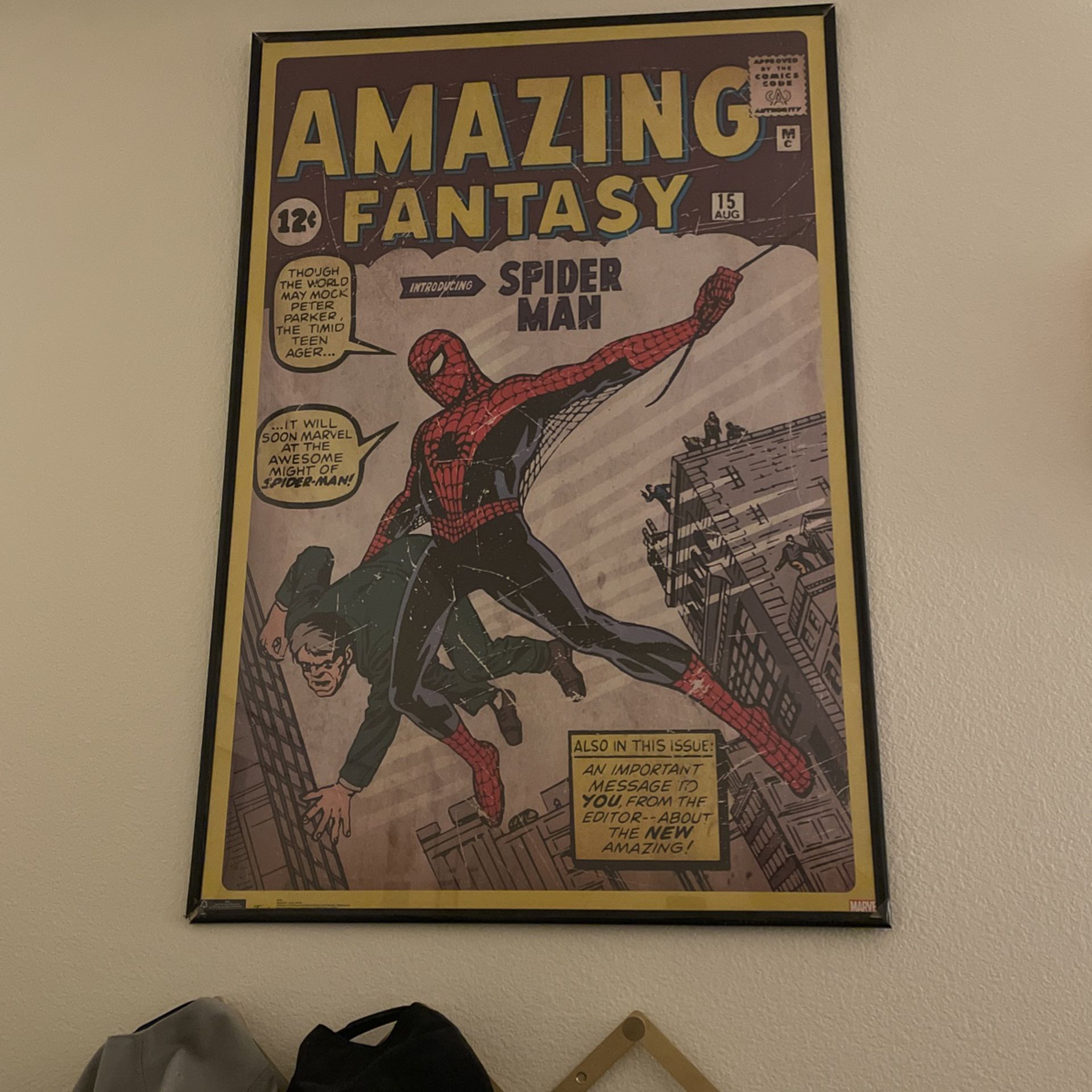 Spiderman Poster Framed