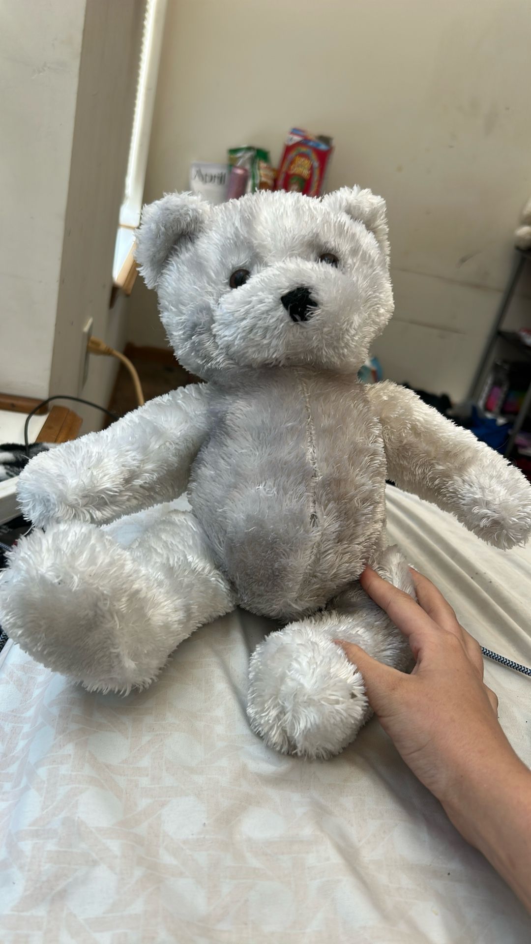 Stuffed Bear