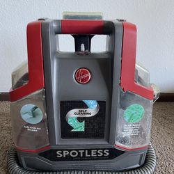 Hoover Pet Stain Remover
