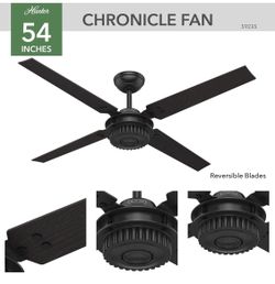 Hunter Outdoor/Indoor Black 54 Inch Ceiling Fan with Wall Control