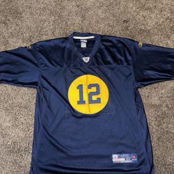 VTG Reebok Green Bay Packers Rodgers Jersey