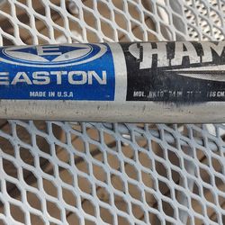 34", 31oz Easton Baseball Bat