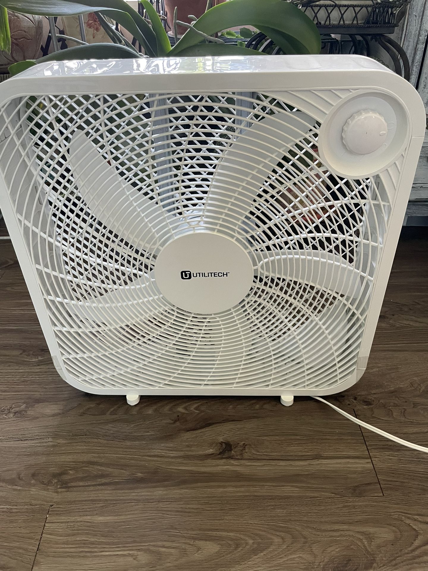 Fan