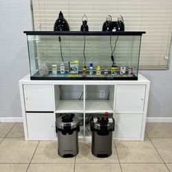 55gal Fish tank With Table And Accessories.