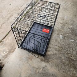 Dog Kennel 