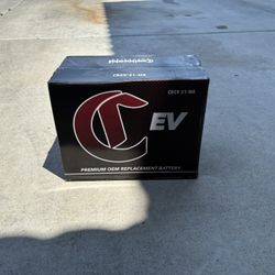 CONTINENTAL GROUP 31 CBEV-31-M8 AGM BATTERY