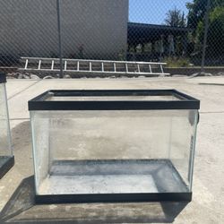 5 Gallon Fish Tank 