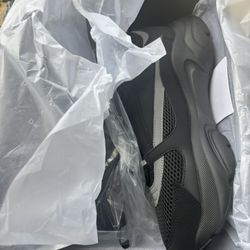 Dior B22