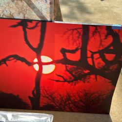 Canvas Wall Art