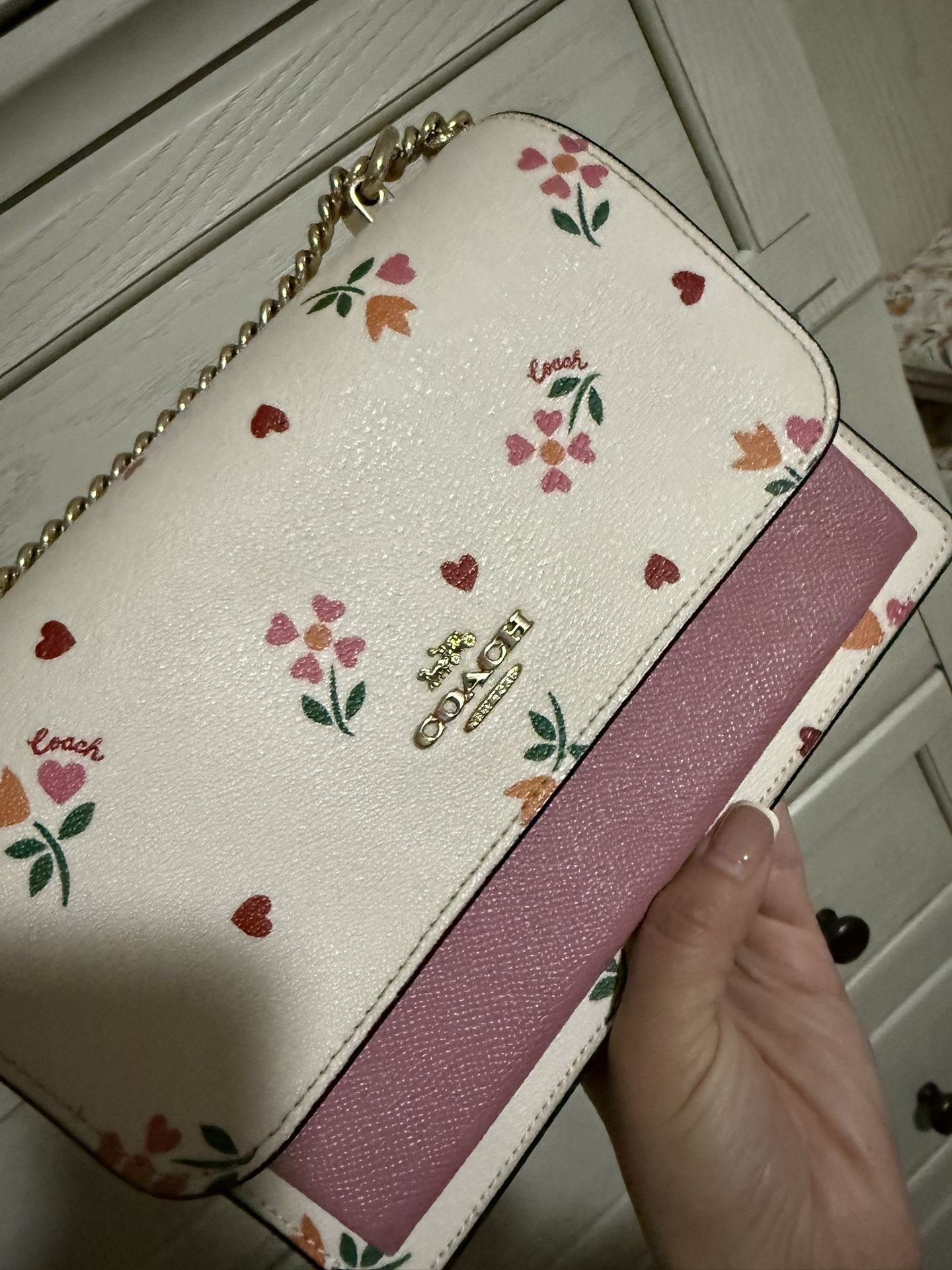 Valentines klare Coach Bag 