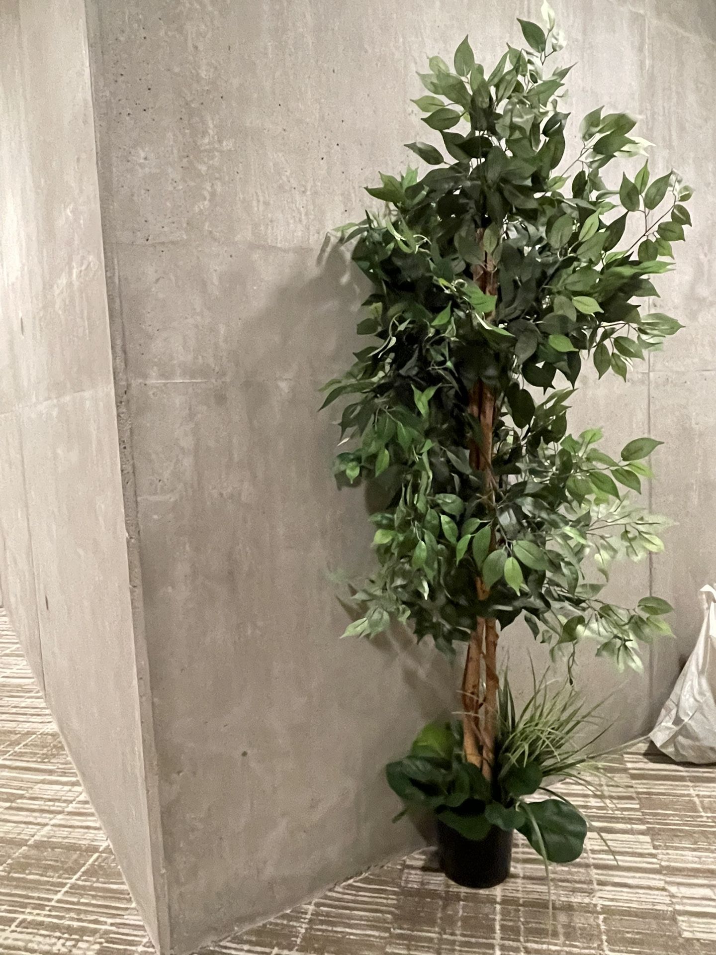 Realistic 6ft Faux Plant