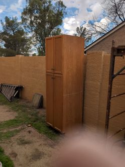 Free garage cabinet