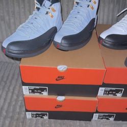 Jordan 12 Taxi 9,10,11
