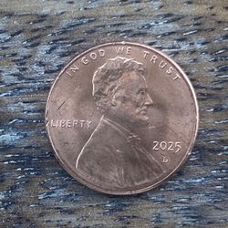 2025 D Pennies 😎
