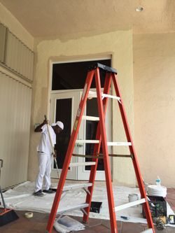 Paints for the holiday !!!!!