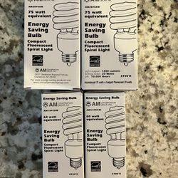 (4) Fluorescent Light Bulbs