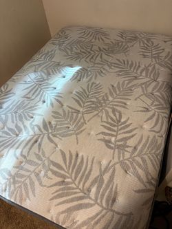2 Free mattress full-size
