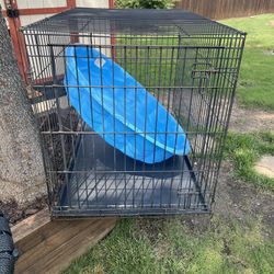 Large Dog Crate 42L28W32T And Pool 