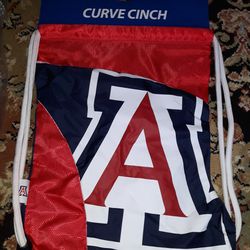 New With Tags Arizona Logo Backpack Great for College students $15 Pickup at Country Club And Grant 