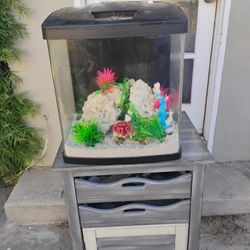 12 Gallon AIO Cube Aquarium 