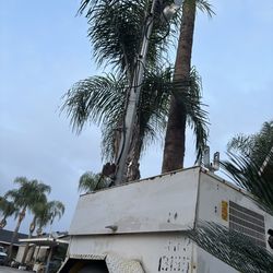 Light tower diesel Kubota