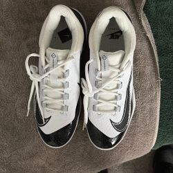 Nike Baseball Cleats 