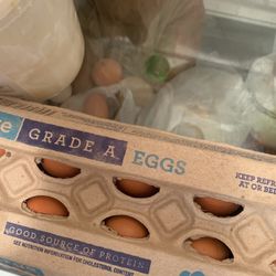 Eggs From Hen