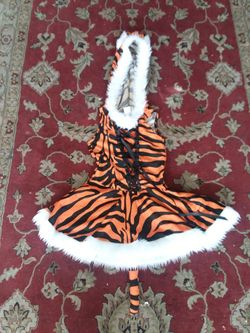 Tiger costume