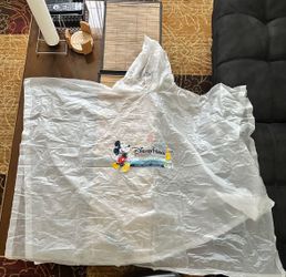 Disney Poncho