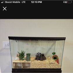 29 Gal Tank Everything Included In The Picture $70