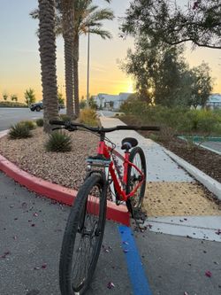 trek 29er