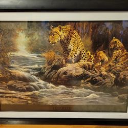 Framed Leopard Print