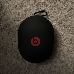 Beats Carrying Case