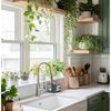 Plants & Decor 
