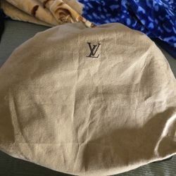 Louis Vuitton Women Bags