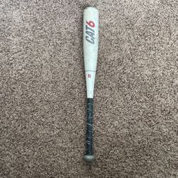 Baseball Bat