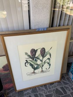 PICTURE 32x38