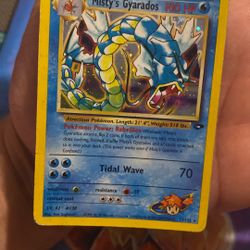 Misty’s Gyrados 