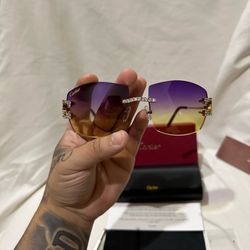 Cartier C Wire Sunglasses