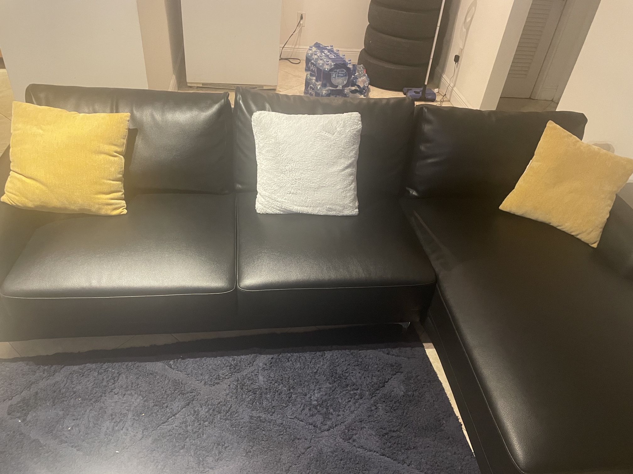 Sectional Couch