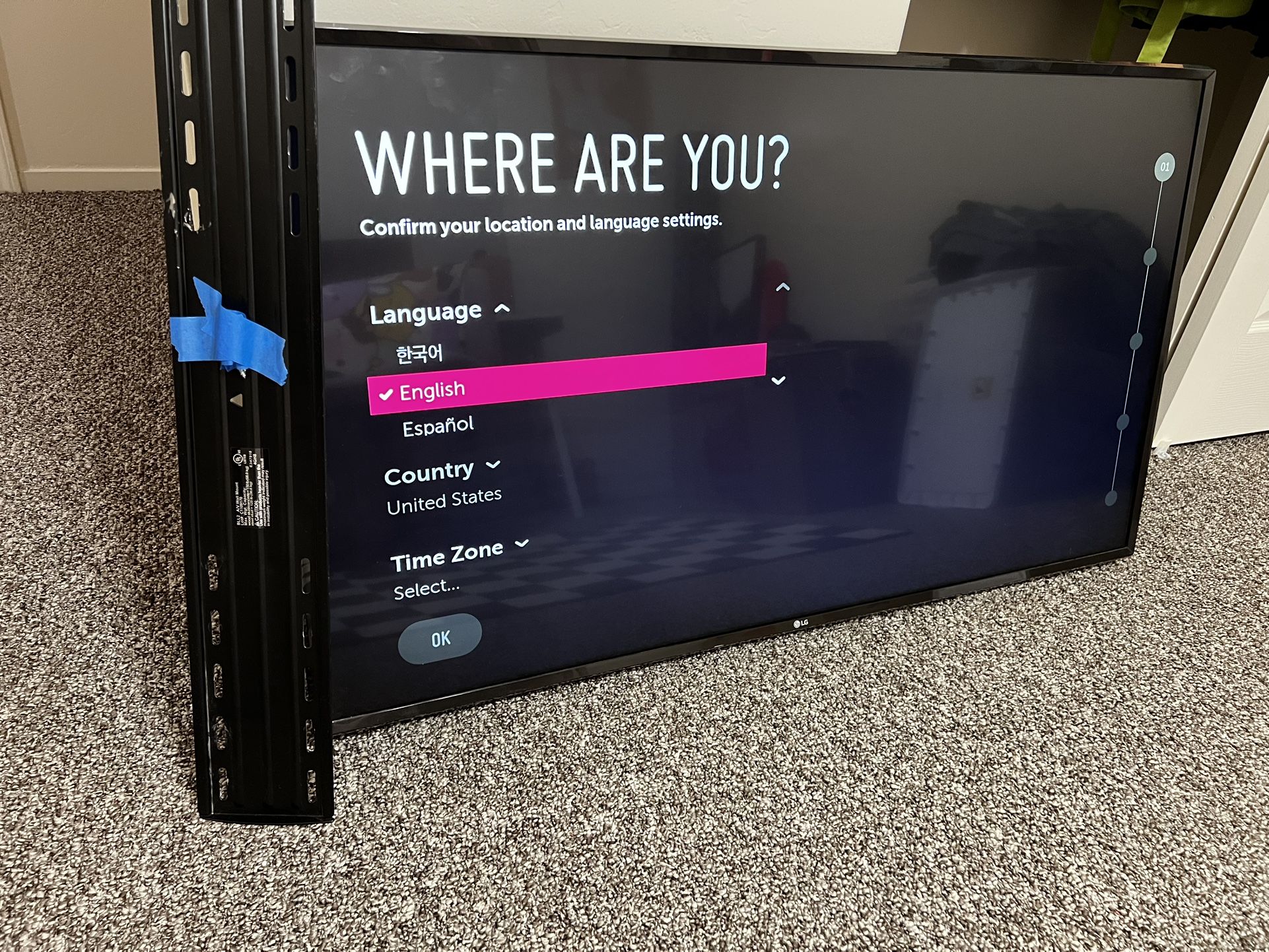 LG 49” TV