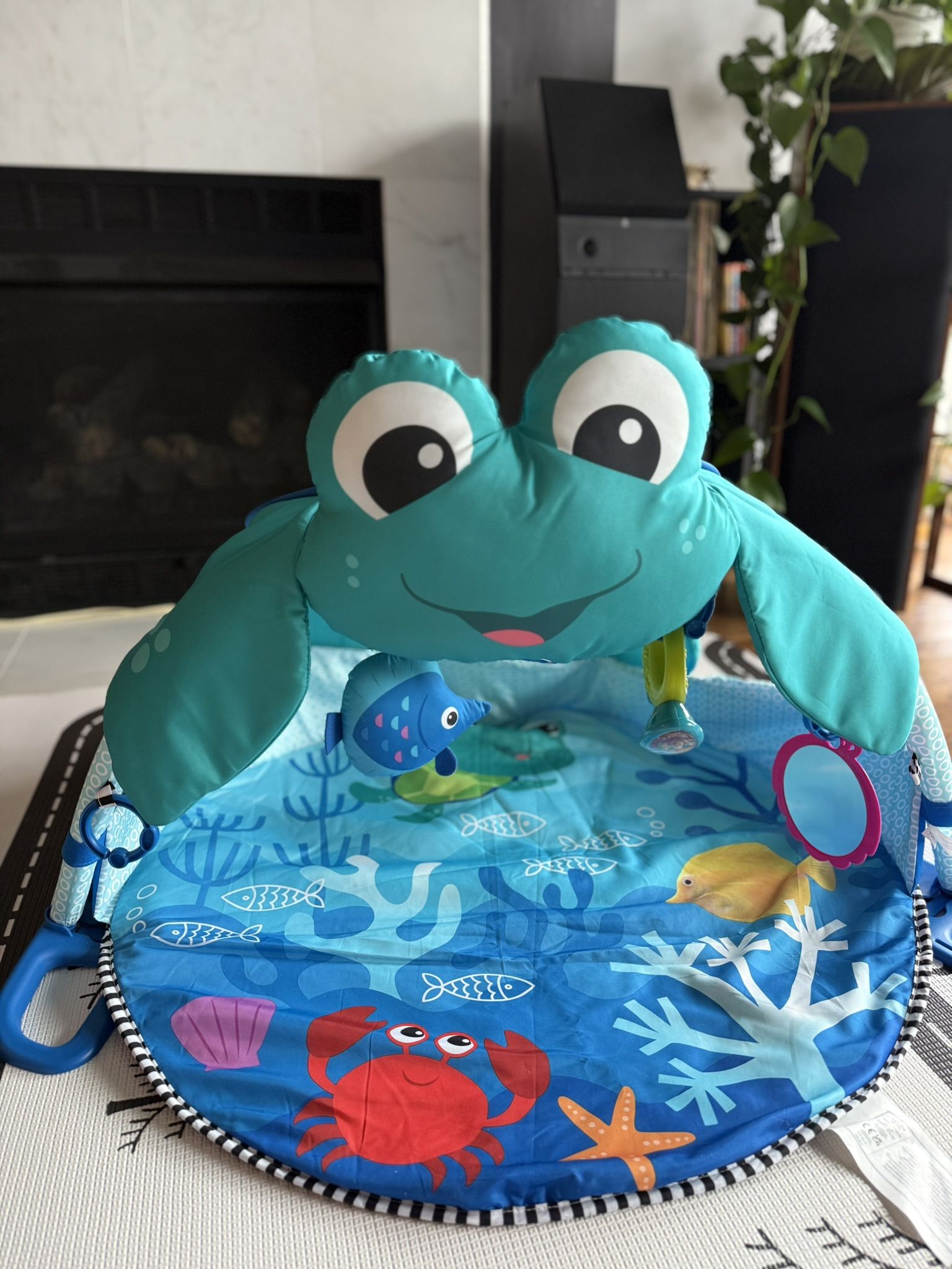 Baby Gym Play Mat