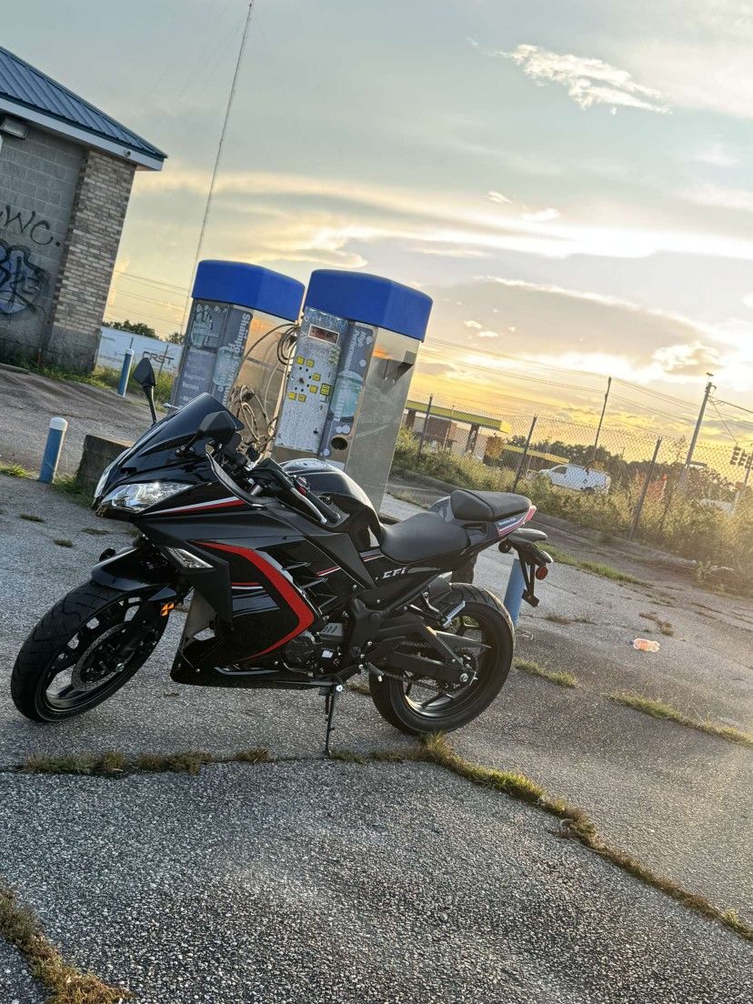 2025 Motocross 250 X-pro