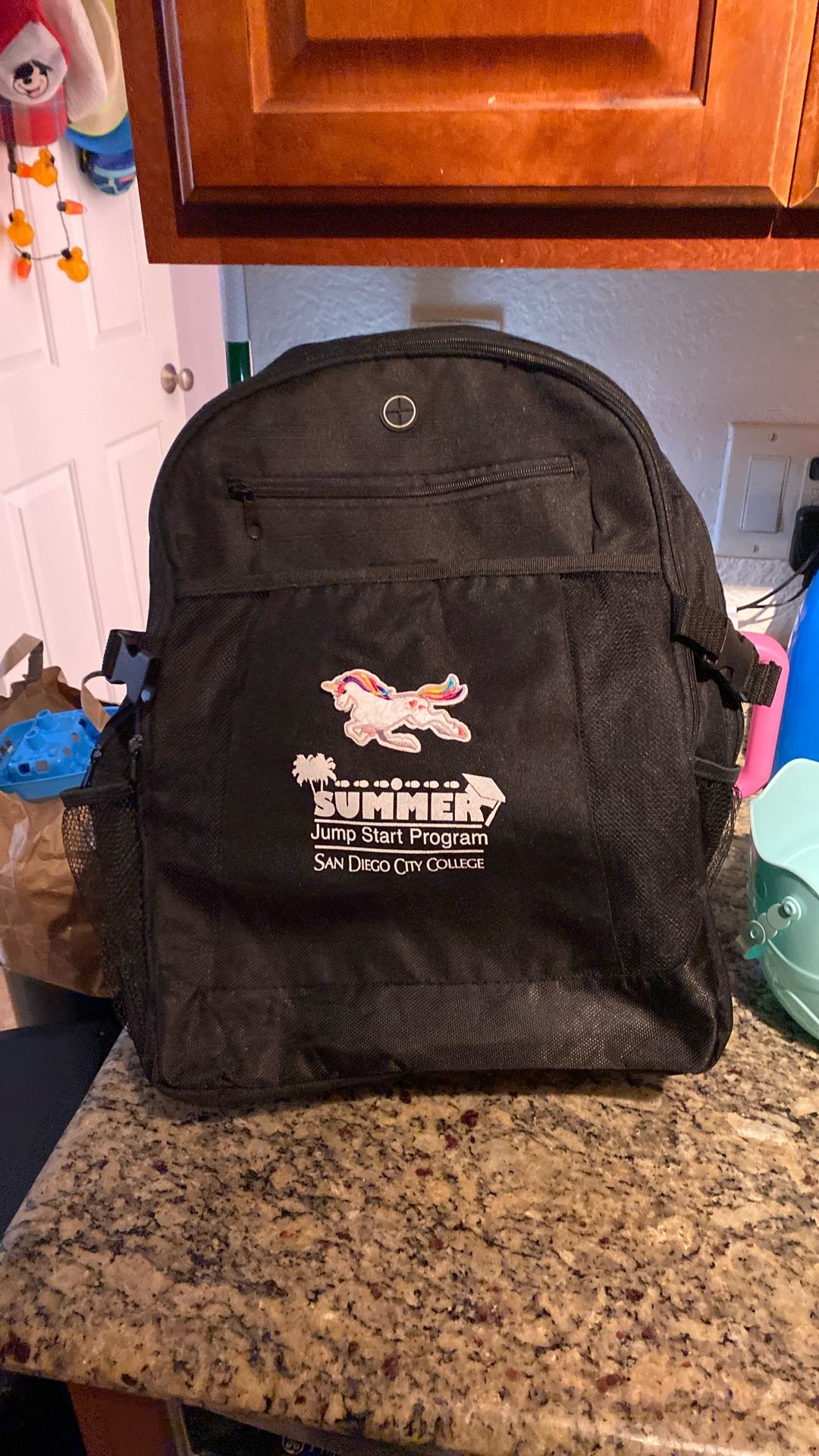 Free City College Backpack