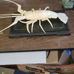 Antique Steak Please Scroll Left To See More Pictures Scroll Down To The Description For Info And See 65 Sculptures