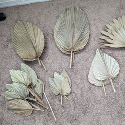 Ace Of Spades Palm Leafs