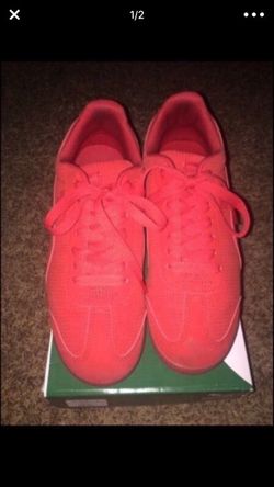 Pumas